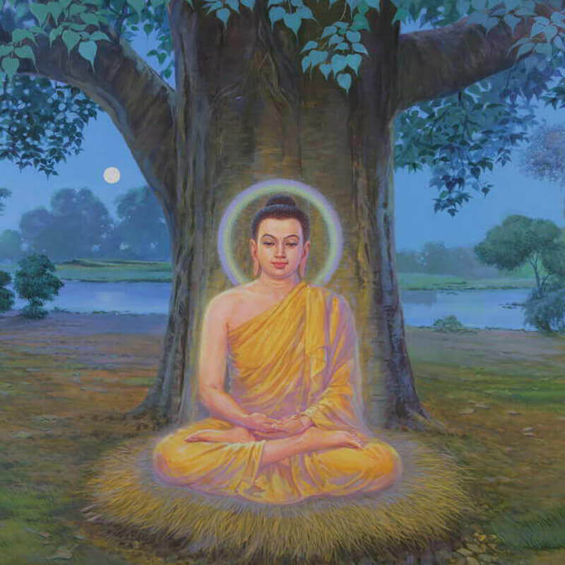 sree buddha history